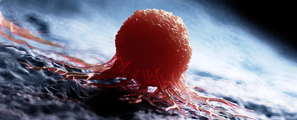 Universal cancer vaccine shows promise in destroying resistant tumors