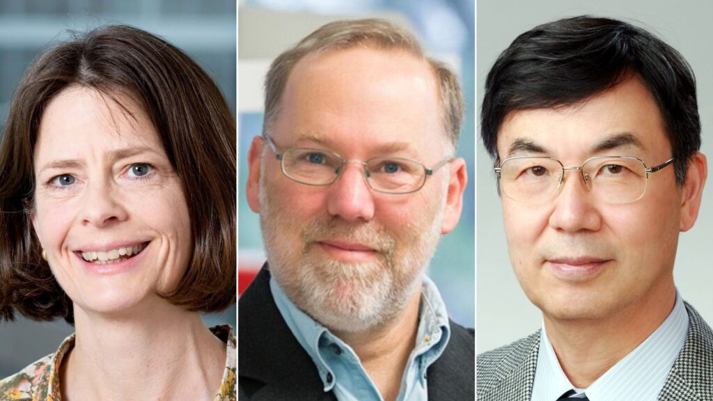 Nobel Prize in Medicine 2025: Brunkow, Ramsdell, and Sakaguchi Honored for Immune System Discovery