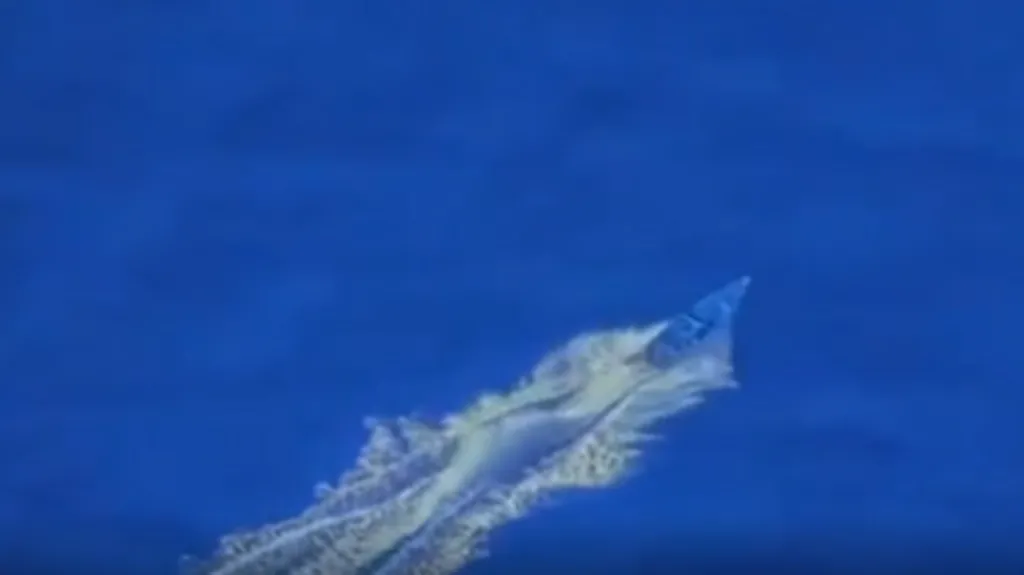 Colombia’s Petro Says US Strike Hit Colombian Boat