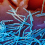 RSV spread extends season as states expand immunization-thumbnail