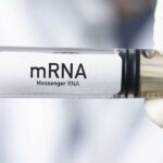 Pancreatic cancer mRNA vaccine shows lasting survival-thumbnail